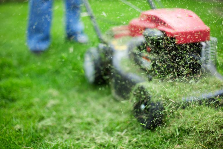 grass cut grass cut