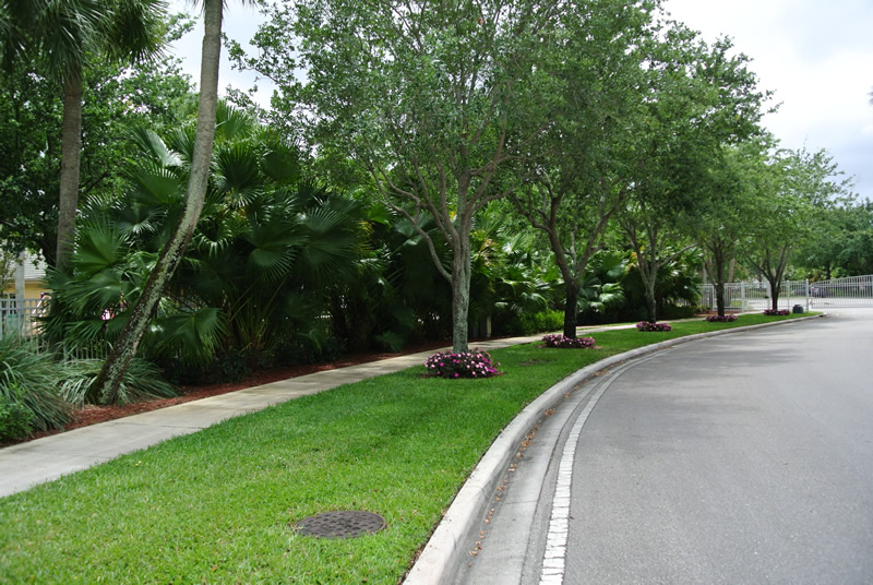 lawns-3 lawns-3